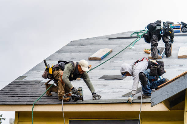 Professional Gutter Installation technician working in Buffalo, IL